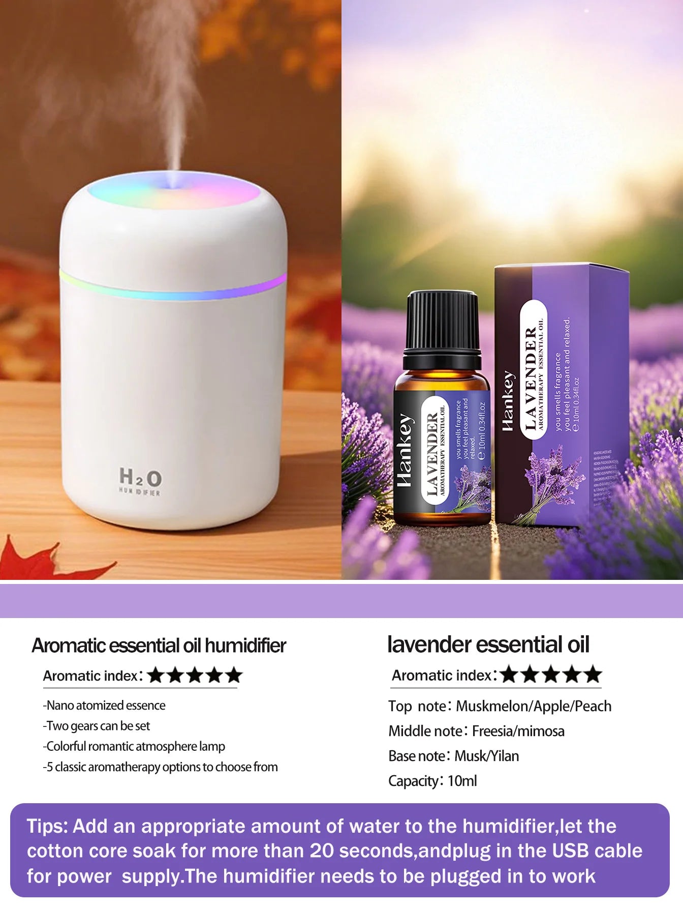 300ml Aromatherapy Diffuser & Humidifier with Color Light